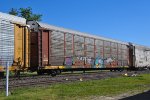 TTGX 983556